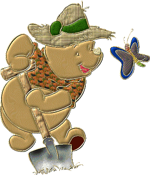 winnie schep