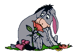 ezeltje met bloem